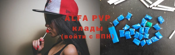 спайс Бородино