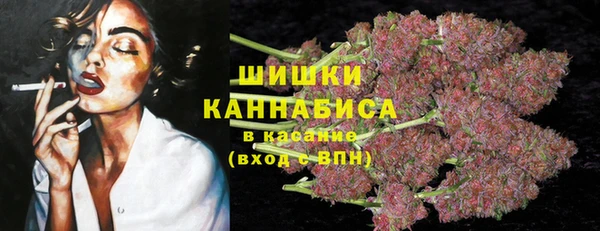 винт Бронницы