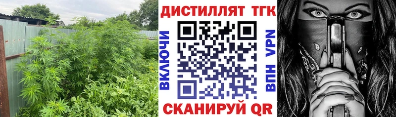 ТГК вейп Луга
